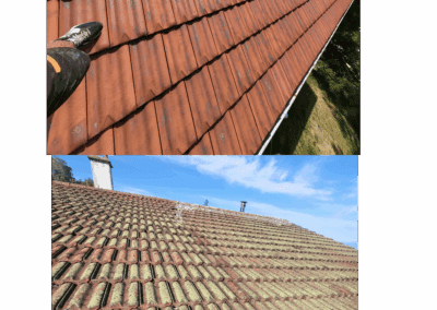 Avant après nettoyage de toiture