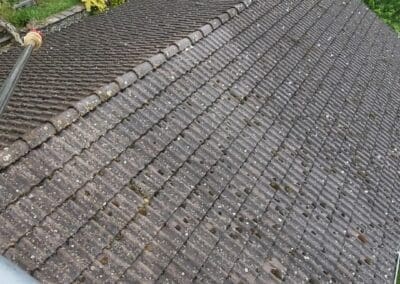 Avant après nettoyage toiture