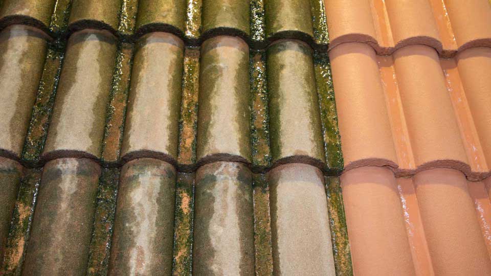 Démoussage toiture Haute Savoie Démoussage toiture Haute Savoie