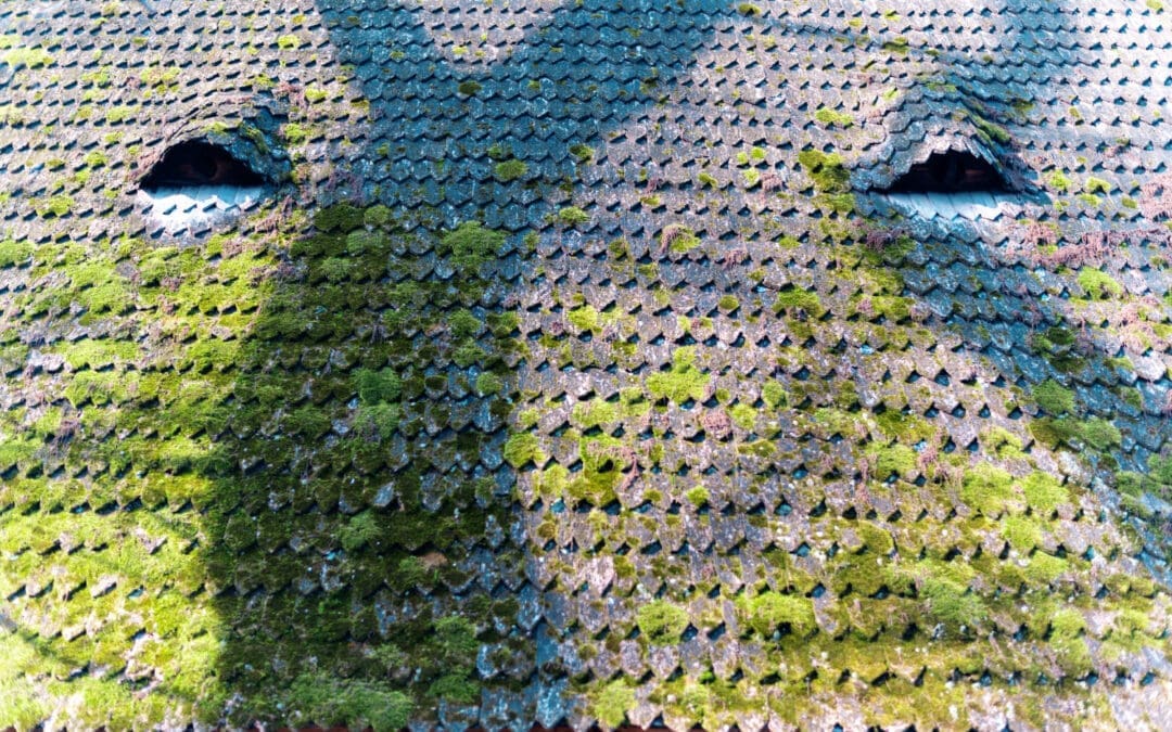 Comment détecter rapidement une fuite sur votre toiture ?